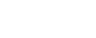 H2NEW logo
